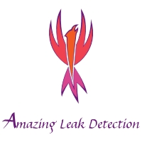 Amazing Leak Detection